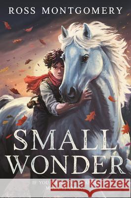 Small Wonder Ross Montgomery 9781536252026 Candlewick Press (MA)