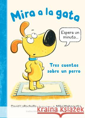 Mira Al Gato David Larochelle Mike Wohnoutka 9781536255294 Candlewick Press (MA)
