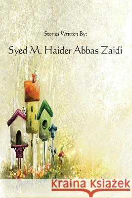 Haider's Stories Syed M. Haider 9781536812497