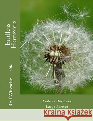 Endless Horizons (Large): Large Format Rolf A. F. Witzsche 9781536856552 Createspace Independent Publishing Platform