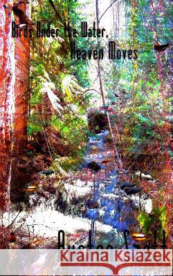 Birds Under the Water, Heaven Moves Austen Szott 9781536869699 Createspace Independent Publishing Platform