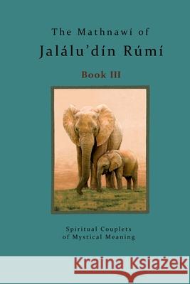 The Mathnawi of Jalalu'din Rumi Book 3 Jalalu'din Rumi Reynold Nicholson Michael Bielas 9781536877526 Createspace Independent Publishing Platform