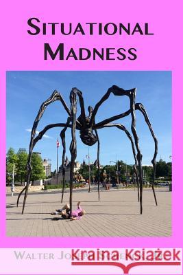 Situational Madness Walter Joseph Schenc 9781536913927 Createspace Independent Publishing Platform