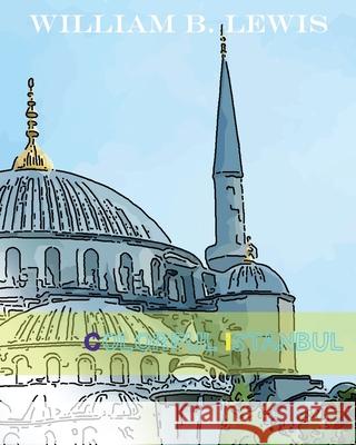 Colorful Istanbul William B. Lewis 9781536954562