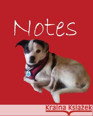 Notes Volume 4 Rita Ferdinando 9781536967760