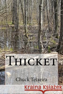 Thicket Chuck Teixeira 9781536977318 Createspace Independent Publishing Platform