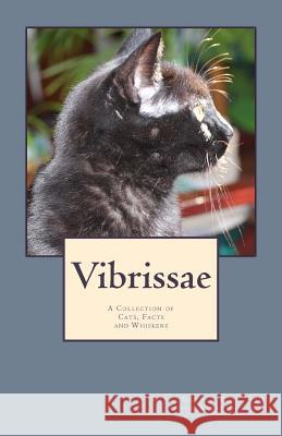 Vibrissae: A Collection of Cats, Facts and Whiskers Kayla Garnet Rose, PH D, Amber Xxene Rose 9781536984781 Createspace Independent Publishing Platform