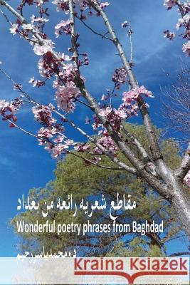 Wonderful Poetry Phrases from Baghdad: Poetry Phrases Dr Mohammed Yasser Raheem 9781537072753 Createspace Independent Publishing Platform