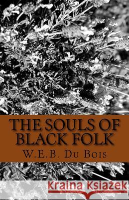 The Souls of Black Folk W. E. B. D 9781537079271 Createspace Independent Publishing Platform