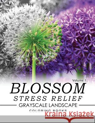 Blossom Stress Relief GRAYSCALE Landscape Coloring Books Volume 1 Keith D. Simons 9781537233192 Createspace Independent Publishing Platform