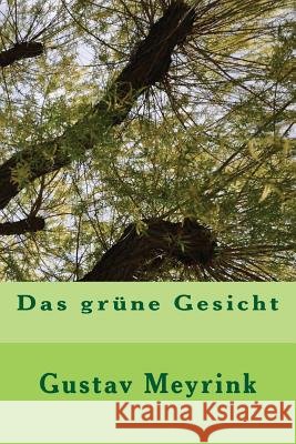 Das grüne Gesicht Meyrink, Gustav 9781537279046