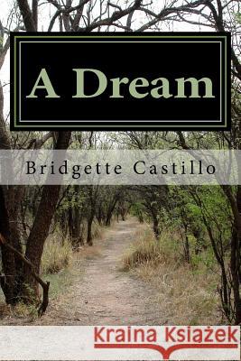 A Dream Bridgette D. Castillo 9781537398198 Createspace Independent Publishing Platform