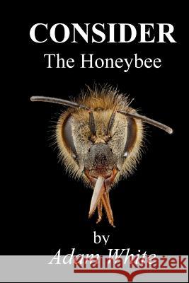 Consider The Honeybee White, Adam 9781537418520 Createspace Independent Publishing Platform