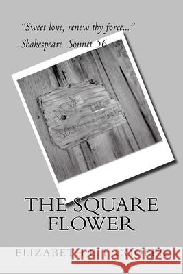 The Square Flower Elizabeth E. P. Cooper 9781537441245