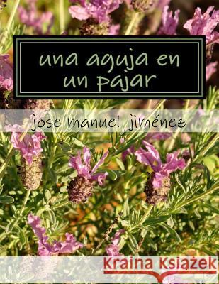 Una aguja en un pajar Gonzalez, Jose Manuel Jimenez 9781537474793 Createspace Independent Publishing Platform