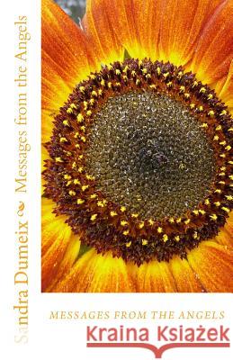 Messages from the Angels Miss Sandra Dumeix Miss Samantha Dondin 9781537505794 Createspace Independent Publishing Platform