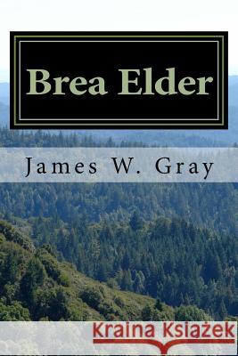 Brea Elder: A bear god's exploration of Japanese culture Gray, James W. 9781537521671 Createspace Independent Publishing Platform