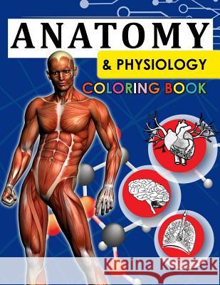 Anatomy & Physiology Coloring Book: 2nd Edtion Dr Willie J. Mitchell 9781537528724 Createspace Independent Publishing Platform