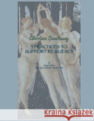 Abortion Sanctuary: 3 Practices to Support Resiliency Angela B. Ferri 9781537532660 Createspace Independent Publishing Platform