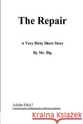 The Repair MR Big 9781537552804 Createspace Independent Publishing Platform