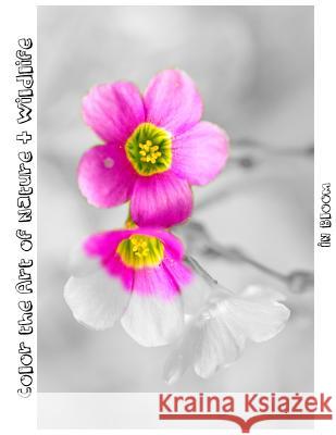 In Bloom: Color the Art of Nature + Wildlife Tiffany Skora Tiffany Photography 9781537628929