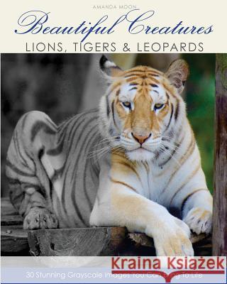 Beautiful Creatures: Lions, Tigers & Leopards Amanda Moon 9781537691503 Createspace Independent Publishing Platform