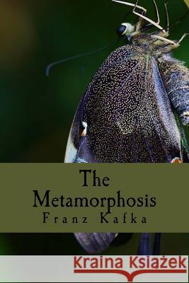 The Metamorphosis Franz Kafka Ian Johnston 9781537768502 Createspace Independent Publishing Platform