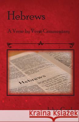 Hebrews: A verse by verse Commentary Cook, John 9781537777313