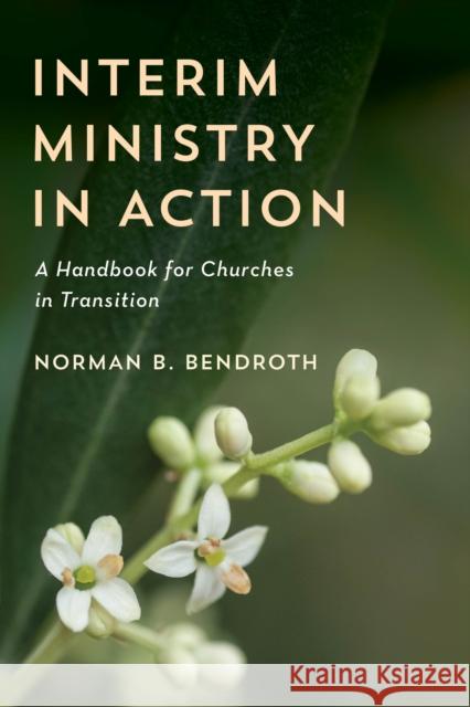 Interim Ministry in Action: A Handbook for Churches in Transition Norman B. Bendroth 9781538104989 Rowman & Littlefield Publishers