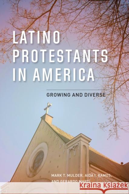 Latino Protestants in America: Growing and Diverse Mark T. Mulder Aida I. Ramos Gerardo Mart 9781538153147