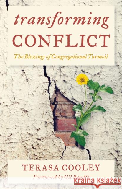 Transforming Conflict: The Blessings of Congregational Turmoil Terasa Cooley Gil Rendle 9781538161821 Rowman & Littlefield Publishers