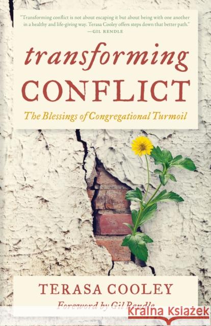 Transforming Conflict: The Blessings of Congregational Turmoil Terasa Cooley Gil Rendle 9781538161838 Rowman & Littlefield Publishers