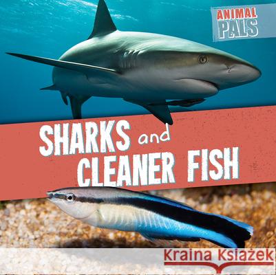 Sharks and Cleaner Fish Janey Levy 9781538266915 Gareth Stevens Publishing