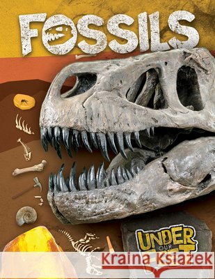 Fossils Kirsty Holmes 9781538270455 Gareth Stevens Publishing