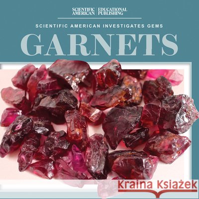 Garnets Beth Gottlieb 9781538313817