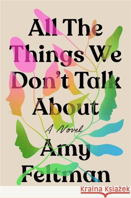 All the Things We Don't Talk About Amy Feltman 9781538704721 Little, Brown & Company