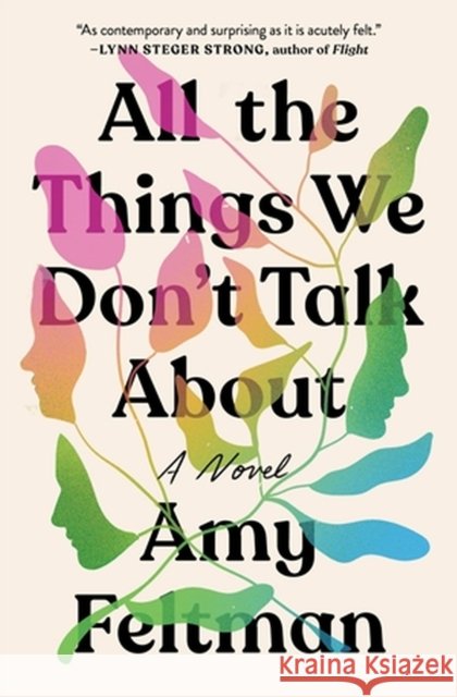 All the Things We Don't Talk About Amy Feltman 9781538704738