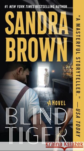 Blind Tiger Sandra Brown 9781538707005 Grand Central Publishing