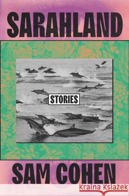 Sarahland Sam Cohen 9781538735060 Little, Brown & Company