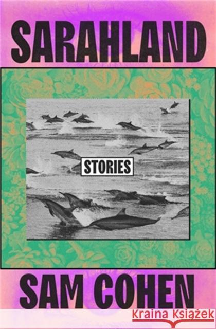Sarahland Sam Cohen 9781538735077 Little, Brown & Company