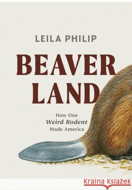 Beaverland: How One Weird Rodent Made America Leila Philip 9781538755198 Twelve