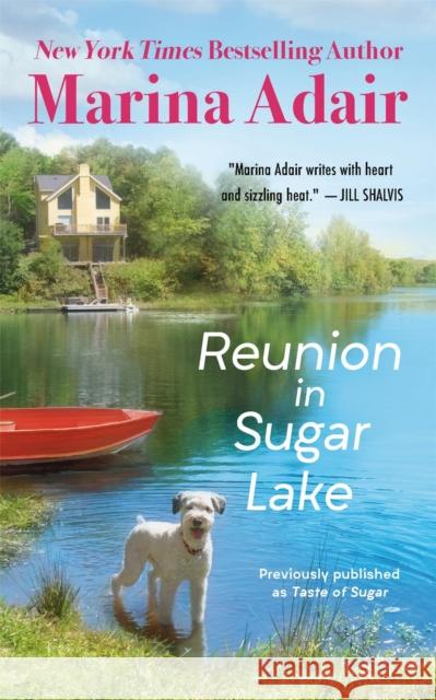 Reunion in Sugar Lake: Previously published as A Taste of Sugar Marina Adair 9781538767108 Little, Brown & Company