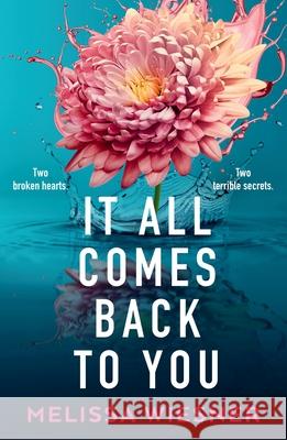 It All Comes Back to You Melissa Wiesner 9781538770429