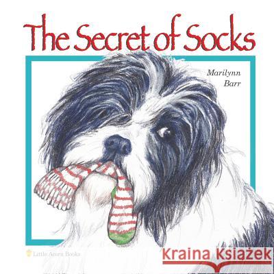 The Secret of Socks Marilynn Barr 9781539015949 Createspace Independent Publishing Platform