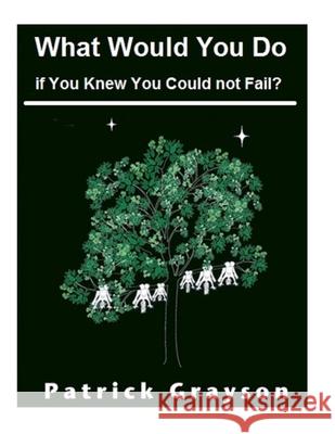 What Would You Do If You Knew You Could Not Fail? Patrick Grayson 9781539133018 Createspace Independent Publishing Platform