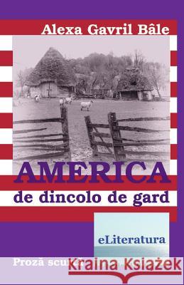 America de Dincolo de Gard: Nuvele Alexa Gavril Bale Vasile Poenaru 9781539358749 Createspace Independent Publishing Platform