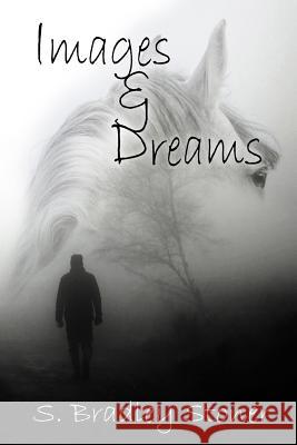 Images and Dreams S. Bradley Stoner 9781539427049