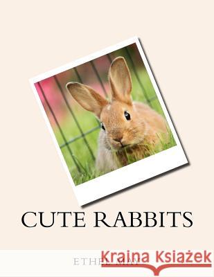Cute Rabbits Ethel May 9781539446545 Createspace Independent Publishing Platform
