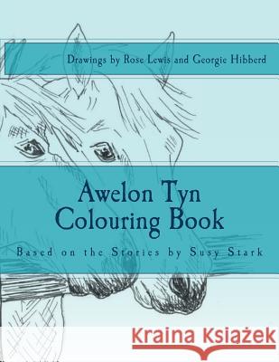 Awelon Tyn Colouring Book Lewis, Rose 9781539518280 Createspace Independent Publishing Platform