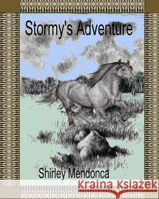 Stormy's Adventure Shirley Mendonca 9781539544753